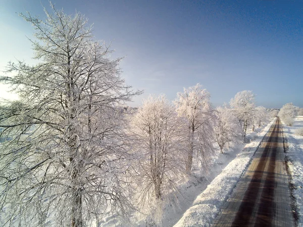 Snowy Day Countryside Bright Sunlight — Stock Photo, Image