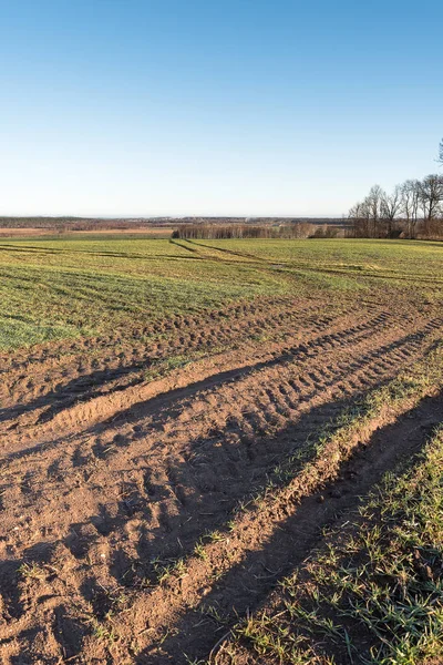 Tractor Tire Track Wet Agricultural Field — Stock Photo, Image