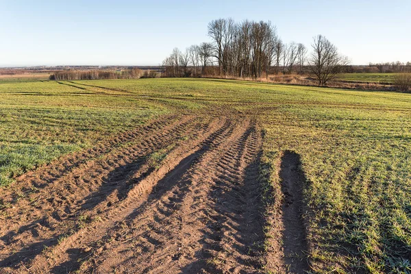 Traktor Däck Spår Våta Jordbruksområdet — Stockfoto