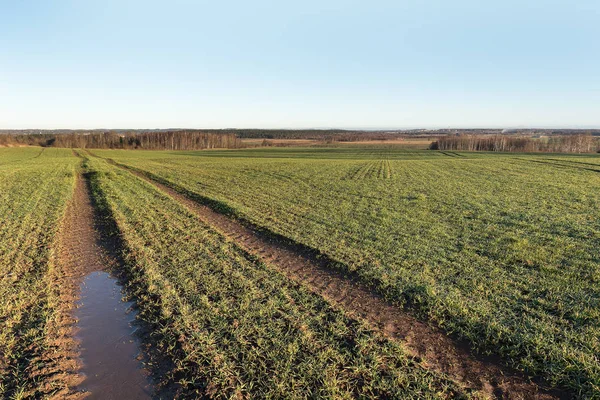 Trattore Pista Pneumatico Campo Agricolo Bagnato — Foto Stock