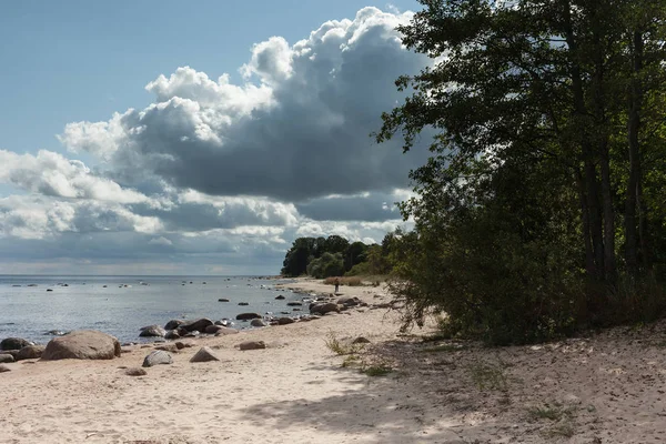 Costa Seixos Mar Báltico Golfo Riga Letónia — Fotografia de Stock