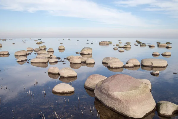 Piedras Golfo Riga Mar Báltico —  Fotos de Stock