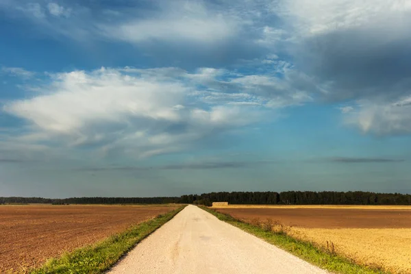 Scenic View Gravel Road Countryside — Stock Photo, Image