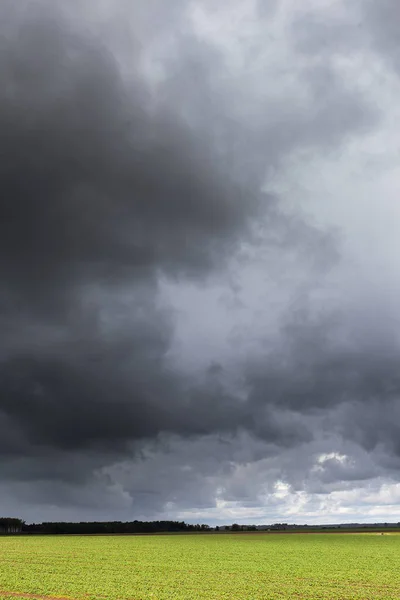 Green Field Dark Clouds — Stock Photo, Image