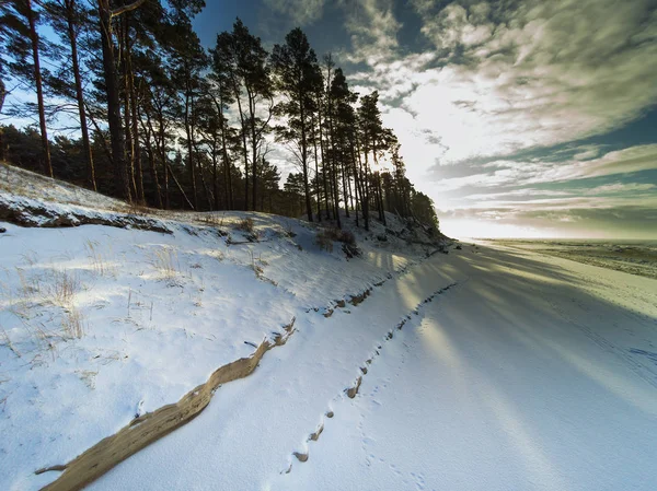 Verschneite Und Vereiste Ostseeküste Bei Liepaja Lettland — Stockfoto