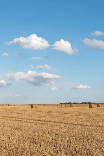 Stro Rolt Landbouwgebied — Stockfoto