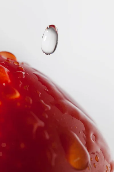 Tomate Gotas Agua — Foto de Stock