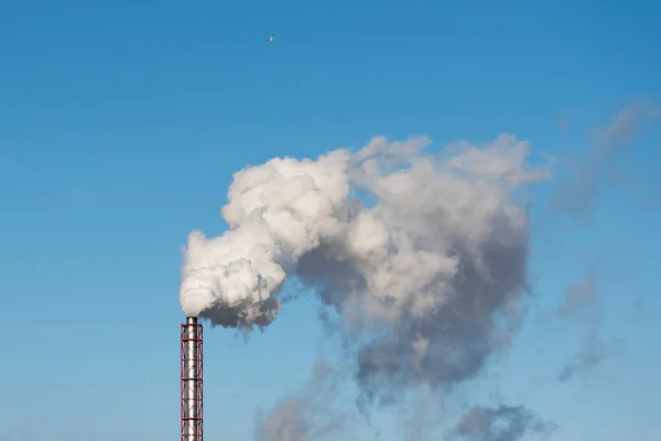 Chimney Smoke Blue Sky — Stock Photo, Image