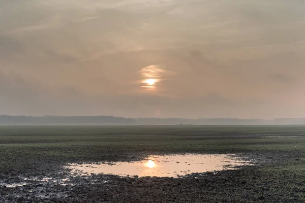 Mlhavé Mokré Ráno Krajině — Stock fotografie