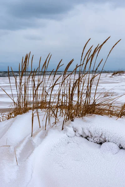 Inverno Sulla Spiaggia Del Mar Baltico — Foto Stock