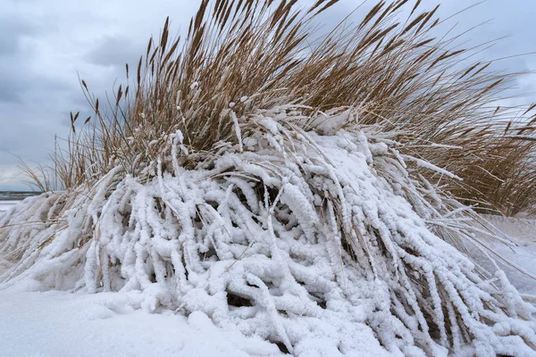 Inverno Praia Mar Báltico — Fotografia de Stock