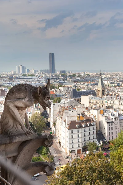Letecký Pohled Paříž Francie Teplé Ráno — Stock fotografie