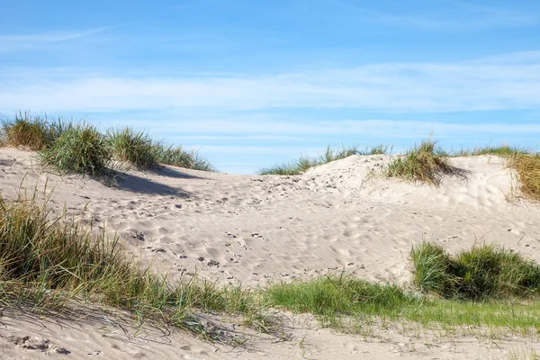 Sandy Sanddyner Östersjön — Stockfoto
