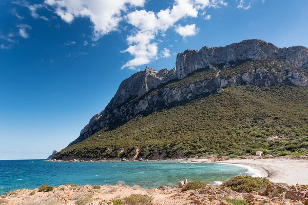 Tavolara Klif Sardijnse Landschap Italië — Stockfoto