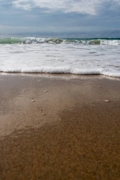 Foamy Atlantic Ocean Wave Beach Sand — Stock Photo, Image