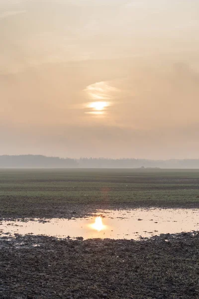 Mistige Natte Ochtend Platteland — Stockfoto