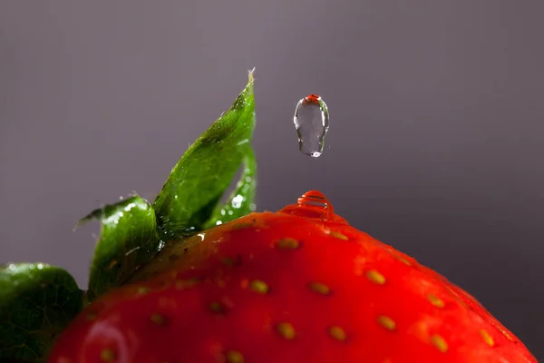 Morango Gotas Água Gotejamento — Fotografia de Stock