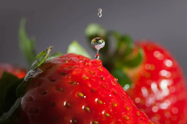 Waschen Von Erdbeeren Der Küche — Stockfoto