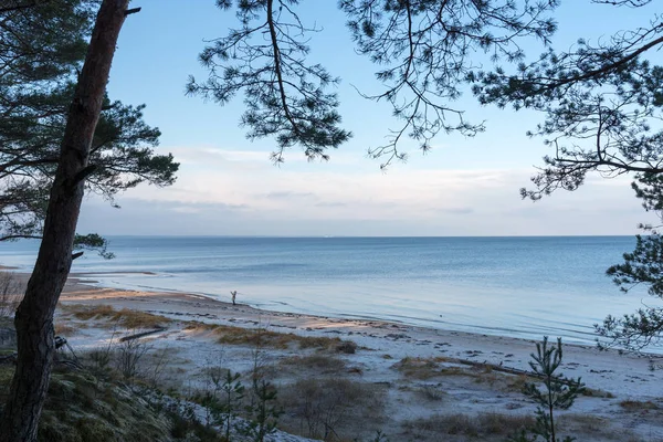 Acqua Ferma Nel Golfo Riga Mar Baltico — Foto Stock