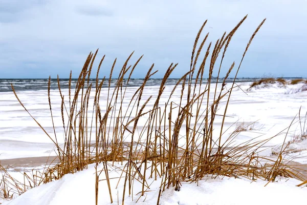 Zima Plaży Nad Morzem Bałtyckim — Zdjęcie stockowe