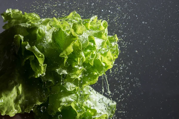 Salaattisalaatti Vesipisarat — kuvapankkivalokuva