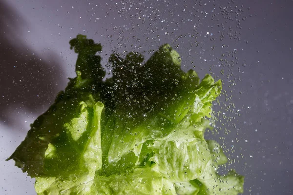 レタスのサラダと水滴 — ストック写真