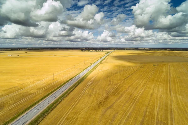 Landschap Van Het Platteland Zomermiddag Letland — Stockfoto