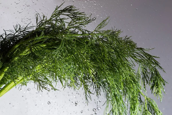 Green Dill Flying Water Drops — Stock Photo, Image