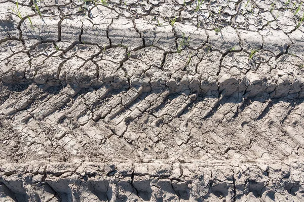 Suelo Arcilloso Seco Agrietado — Foto de Stock