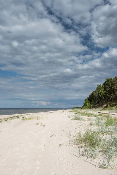 Spiaggia Sabbia Nel Golfo Riga Mar Baltico — Foto Stock