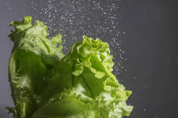 Ensalada Lechuga Gotas Agua —  Fotos de Stock