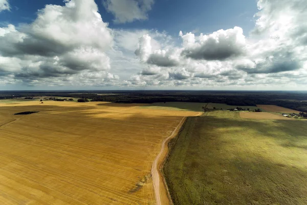 Countryside Krajobraz Letnie Popołudnie Łotwa Obrazek Stockowy