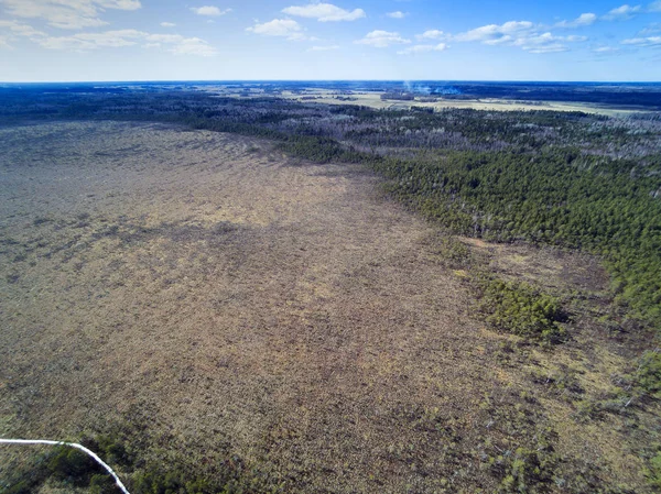 Camino Madera Pantano Dunika Letonia Vista Aérea — Foto de Stock