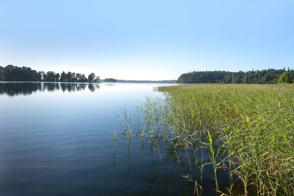 Morning Aluksne Lake Latvia — Stock Photo, Image