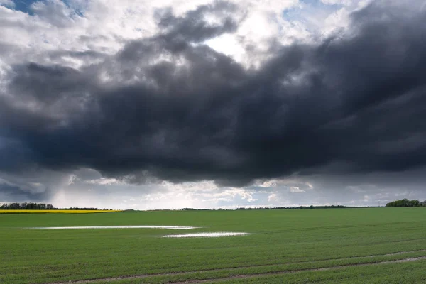 Paisagem Agrícola Após Chuva Céu Dramático — Fotografia de Stock