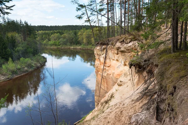 Rivière Gauja Près Cesis Lettonie — Photo