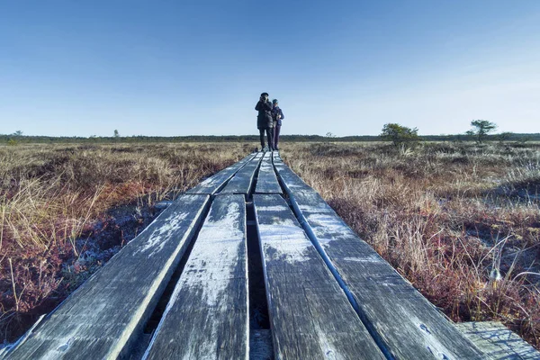 Mujeres Caminando Por Pasarela Madera Pantano Dunika Letonia — Foto de Stock