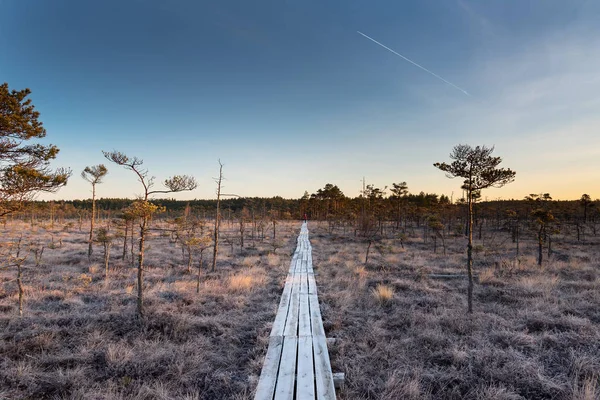 Wooden Footbridge Dunika Bog Latvia — Stock Photo, Image