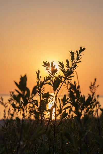 Vista Panorámica Hora Puesta Del Sol Mar Báltico — Foto de Stock