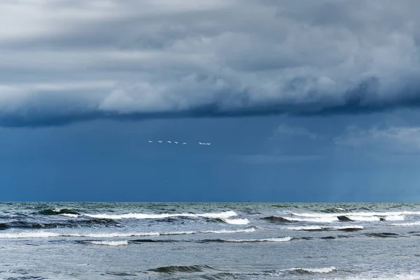 Vista Panorâmica Dia Ventoso Pelo Mar Báltico Liepaja Letónia — Fotografia de Stock