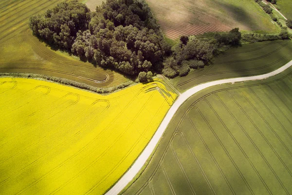 Campos Caminos Campo Verano Letonia —  Fotos de Stock