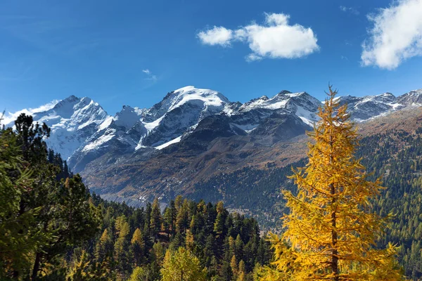 Alpejskie Krajobrazy Pobliżu Bernina Przekazać Szwajcaria — Zdjęcie stockowe