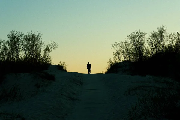 Silhouette Homme Sur Les Dunes Baltique Soirée — Photo