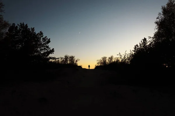 夜にバルト海の砂丘上の人間のシルエット — ストック写真