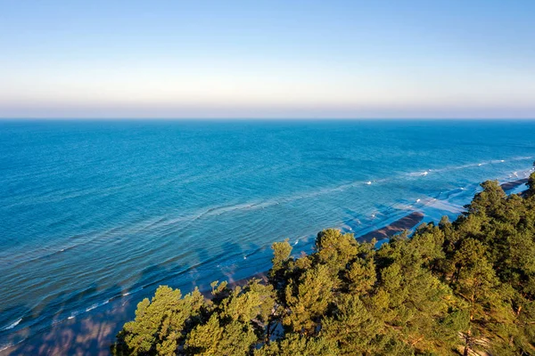 Pini Verdi Sulla Costa Del Mar Baltico — Foto Stock