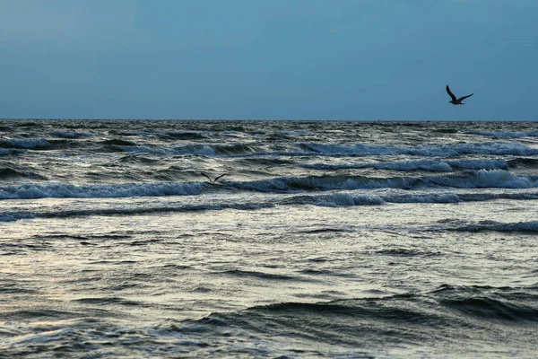 Serata Sul Mar Baltico Liepaja Lettonia — Foto Stock