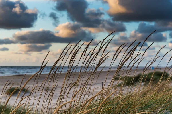 Balti Tenger Strandon Este Liepaja Lettország — Stock Fotó