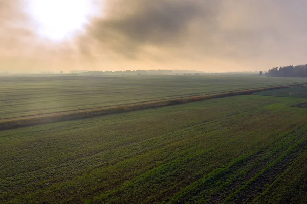 Autunno Mattina Nebbia Campi Verdi — Foto Stock