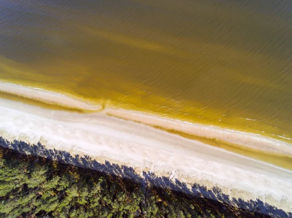 Sandküste Von Gul Riga Ostsee — Stockfoto