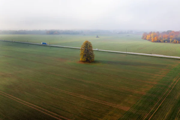 Podzimní Ráno Krajině — Stock fotografie